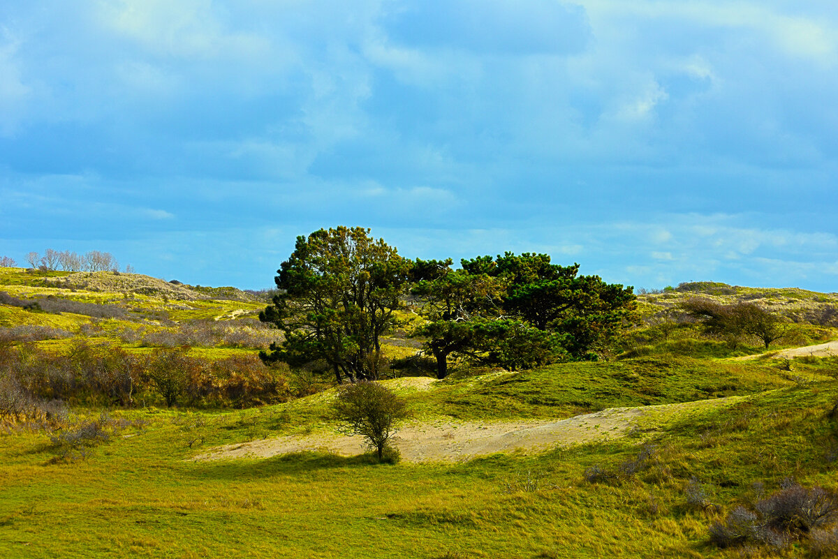 Картинка с бесплатного фотостока https://unsplash.com, автор Werner Hilversum