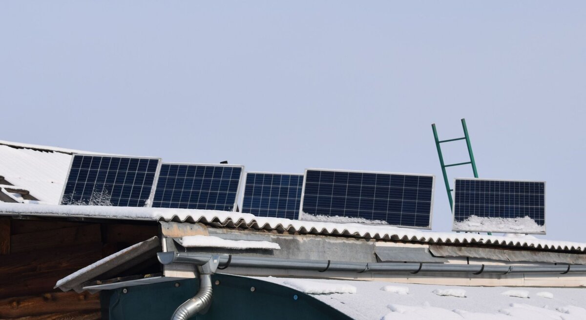 (Фото: "Присаянье")