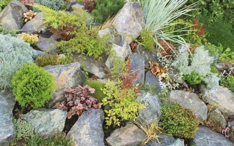 Альпийская горка на даче