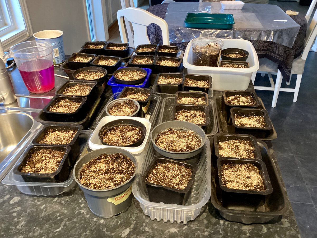 29 февраля 2024 года.