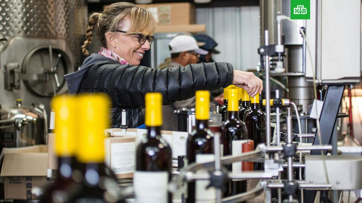    Фото: Vindemia Winery / unsplash.com