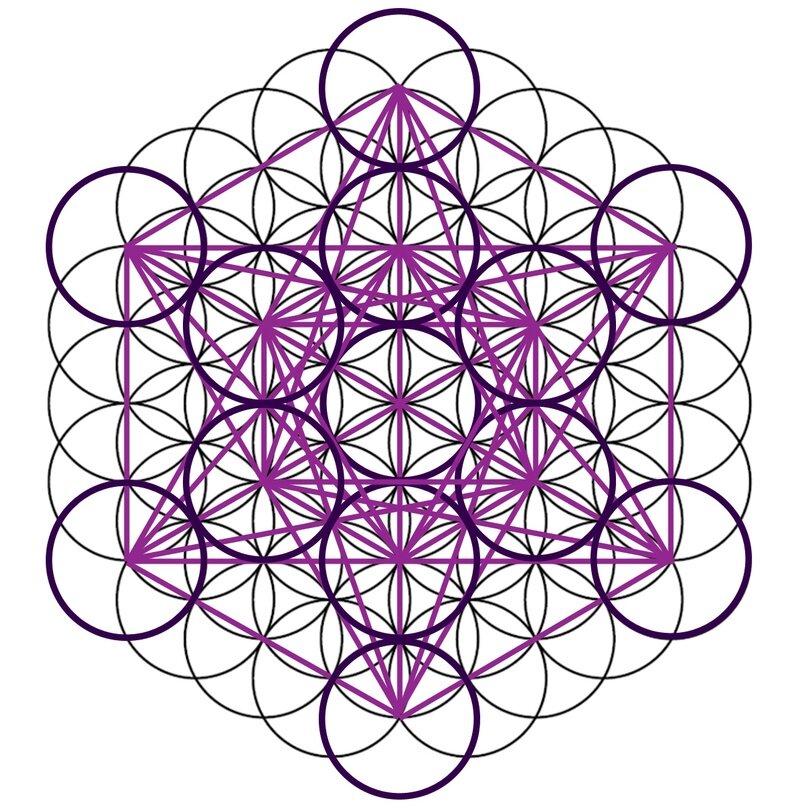 Куб Метатрона (более темным), вписанный в Цветок жизни