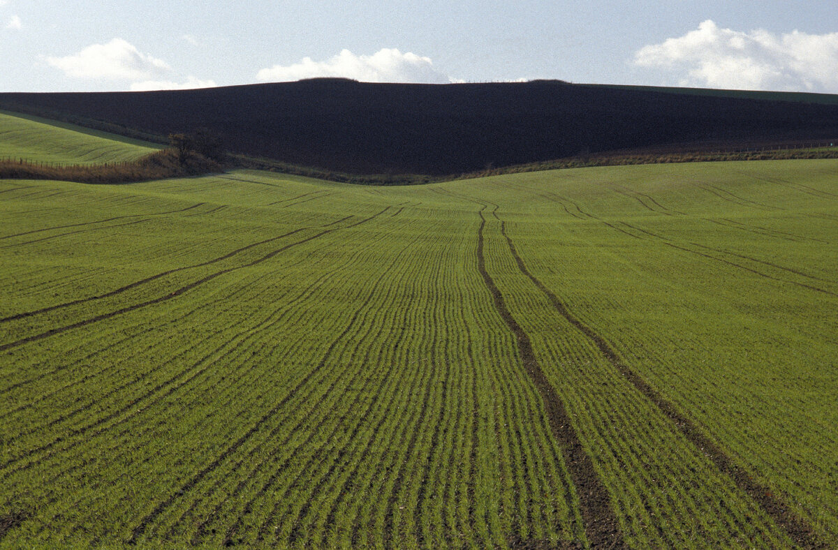 <a href="https://ru.freepik.com/free-photo/aerial-shot-of-a-grassy-field-with-a-mountain-in-the-distance-at-wiltshire-uk_7903787.htm#fromView=search&page=7&position=29&uuid=616c3ca1-e8f8-494f-871c-82ae5c384a45">Изображение от wirestock на Freepik</a>