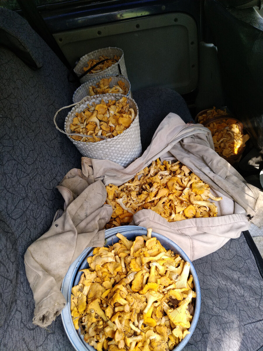 И заработок, и припасы