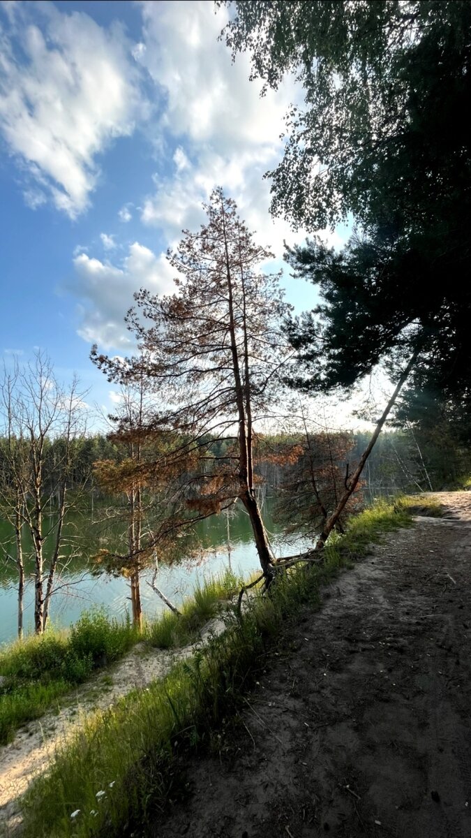 Справа от пляжа.