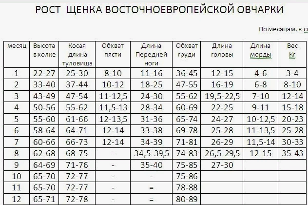 из свободного доступа сети Интернет