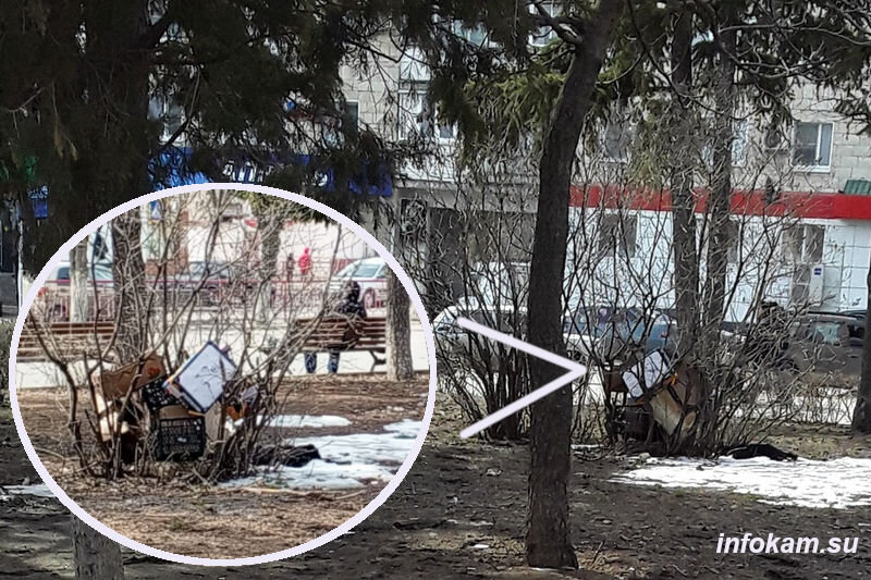    В кустах сирени до сих пор куча коробок