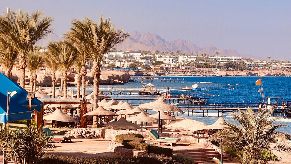 Фото: © Unsplash/Omar Elsharawy