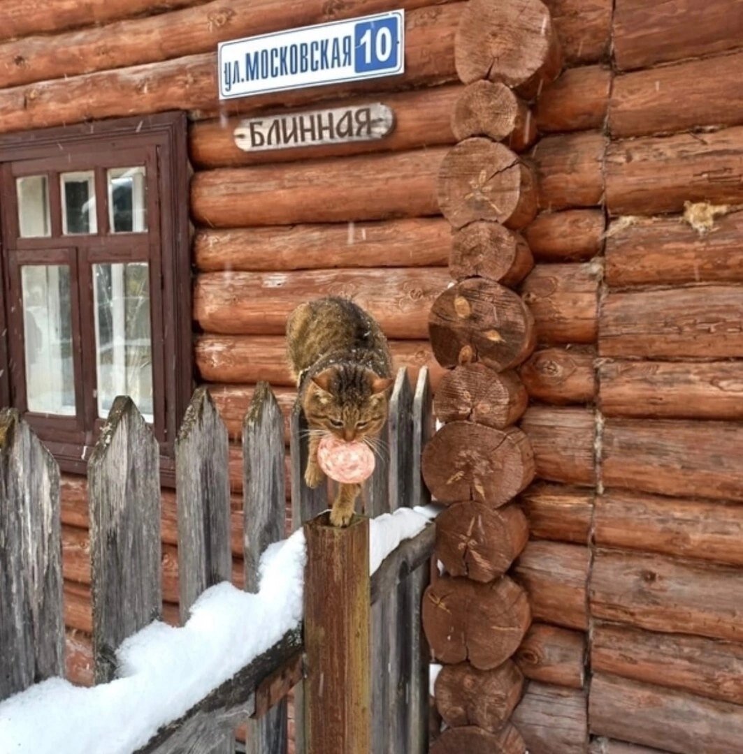 иллюстрация из яндекс картинки.