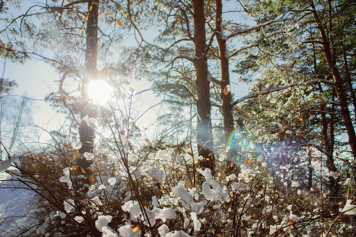 Природа Подмосковья