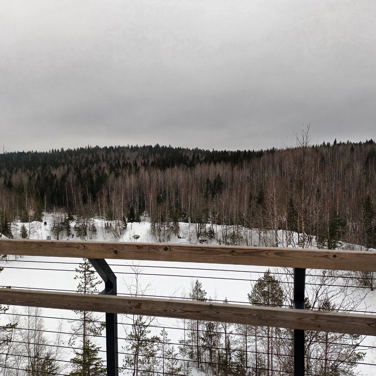 Сразу за карельскими березками начинается Финляндия. Все фото в статье автора