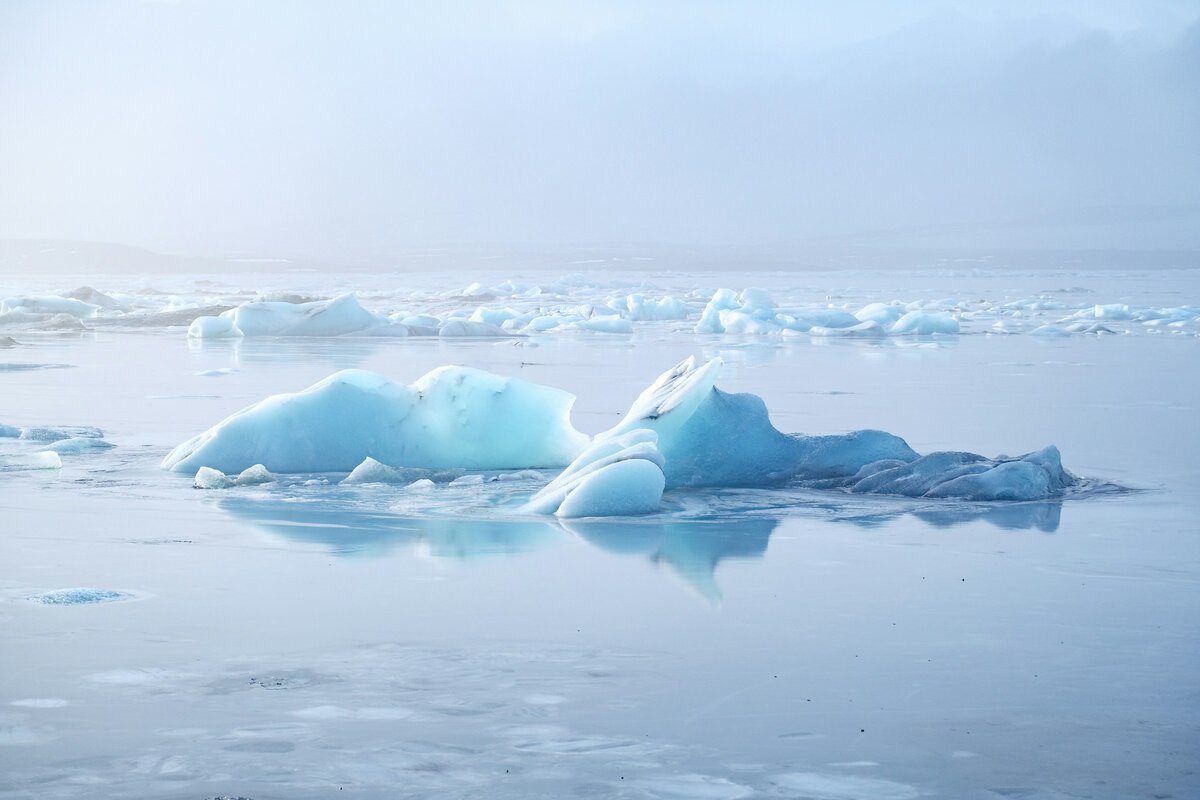 Фото с бесплатного фотостока https://unsplash.com, автор Yves Cedric Schulze