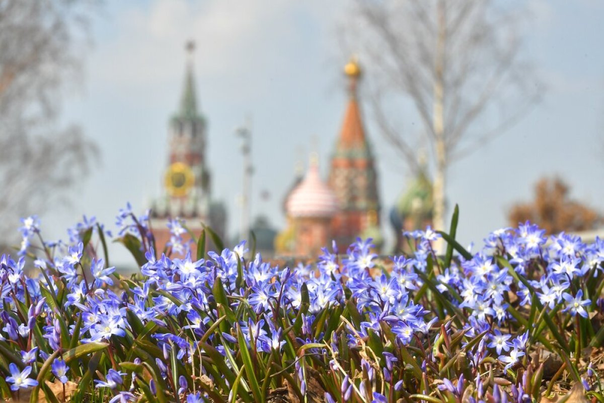    В Москве обновился температурный максимум этого года
