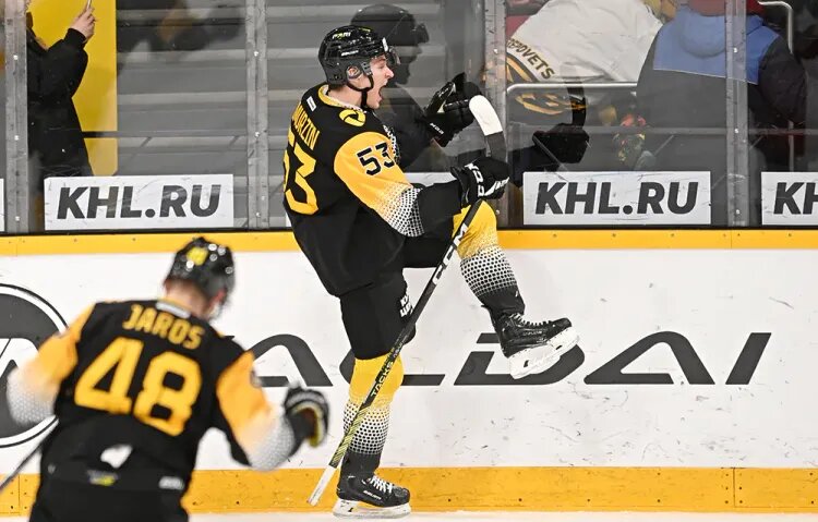    Источник фото: ХК «Северсталь»