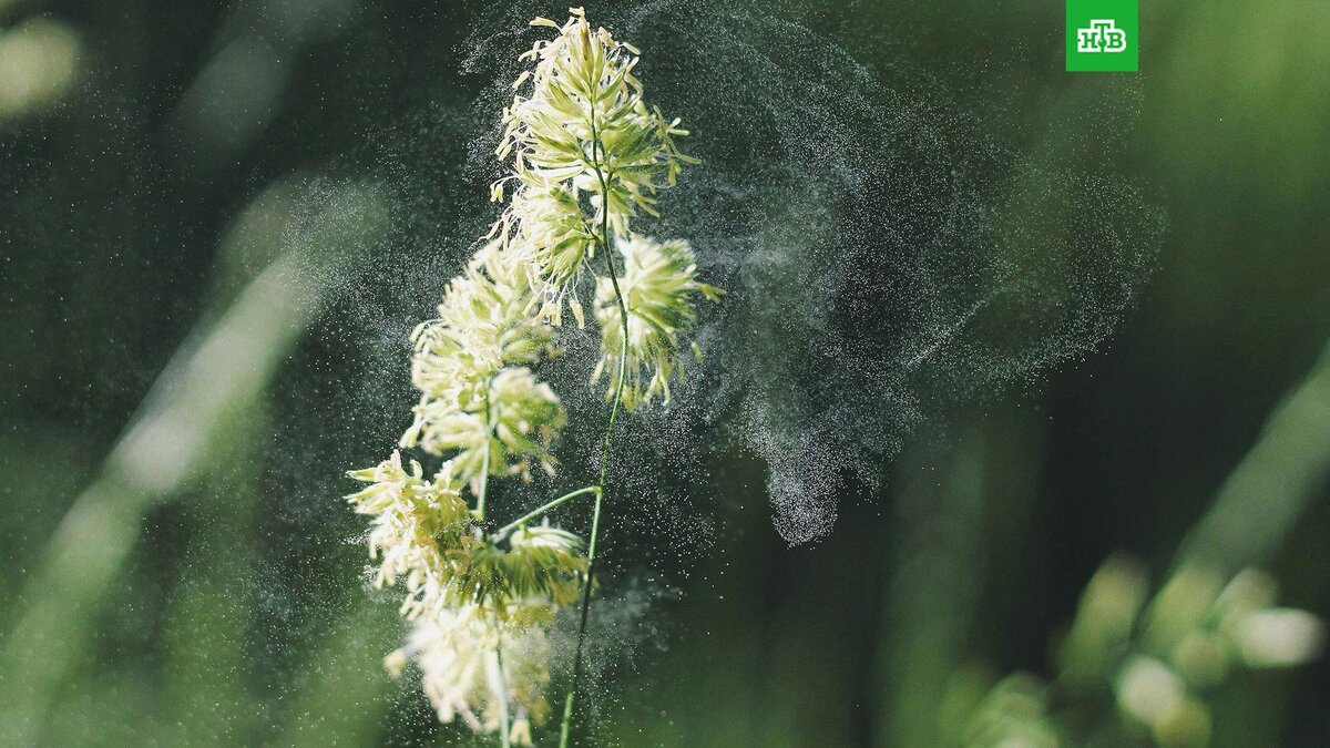    Фото: Alex Jones / unsplash.com