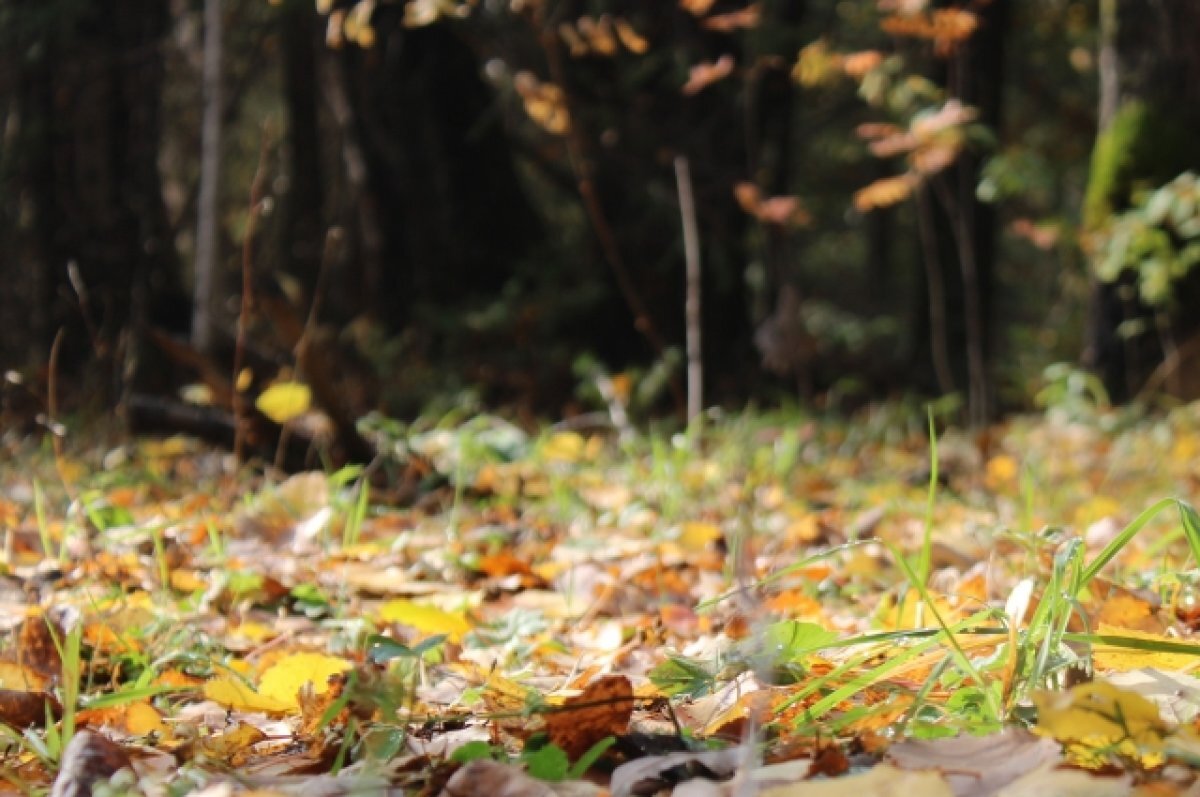    В пятницу в Татарстане потеплеет до +7 градусов тепла