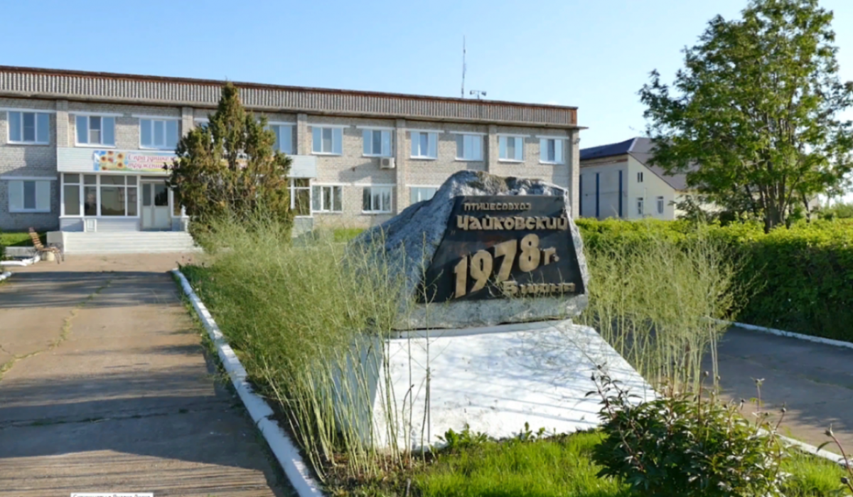     АО "Птицефабрика Чайковская". Источник: pf-chaik.ru Автор фото: Архивное фото