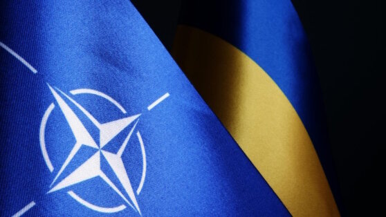    На Украину приехала военная делегация НАТО Татьяна Сидорова