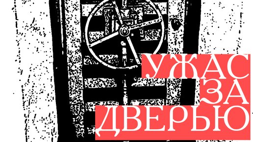 24 года в бункере. История одной австрийки