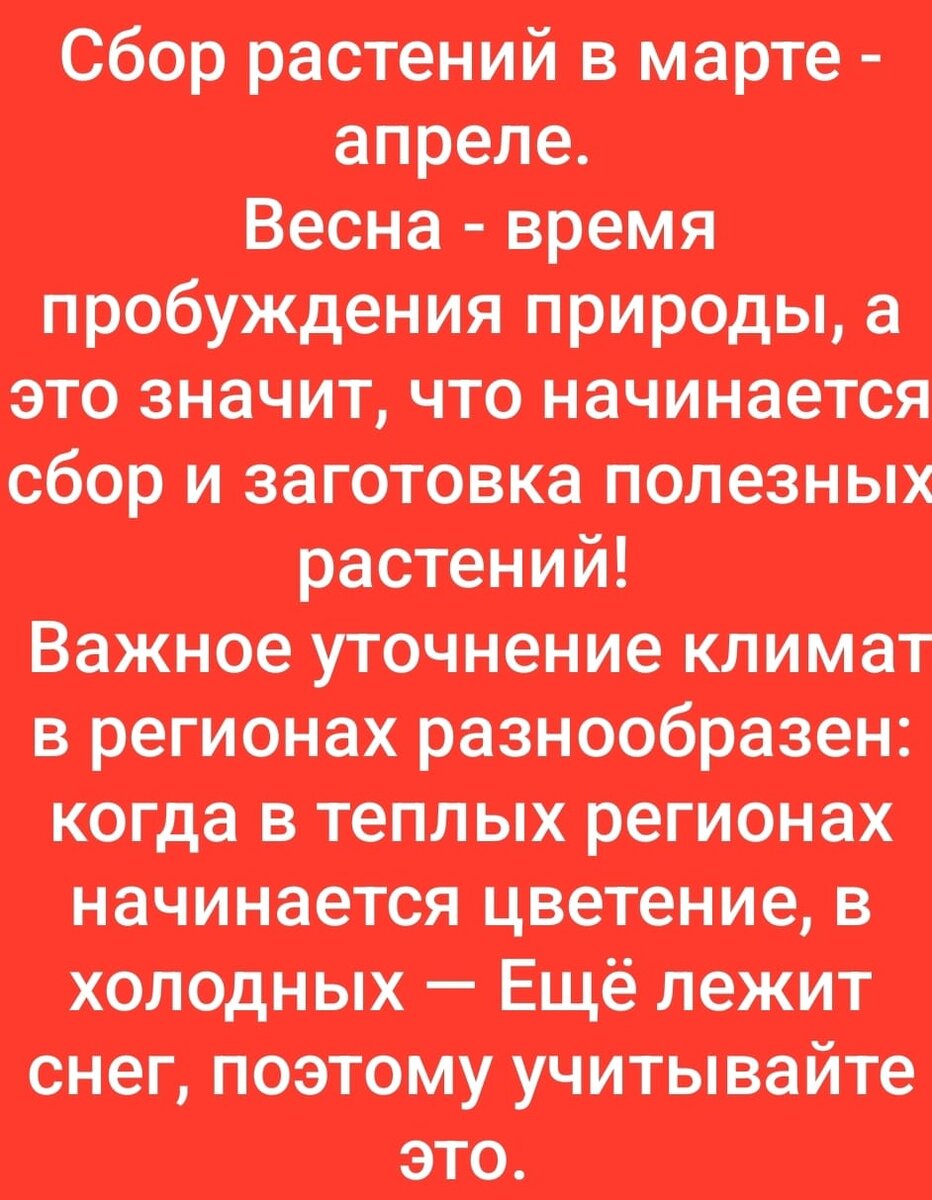 Ведьмёныш. По следам легенды. про спасение, про чары и про битву | Ведьмины  подсказки. Мифы, фэнтези, мистика | Дзен