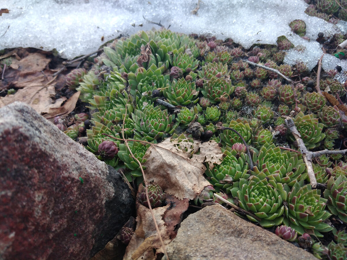 Ура , весна!