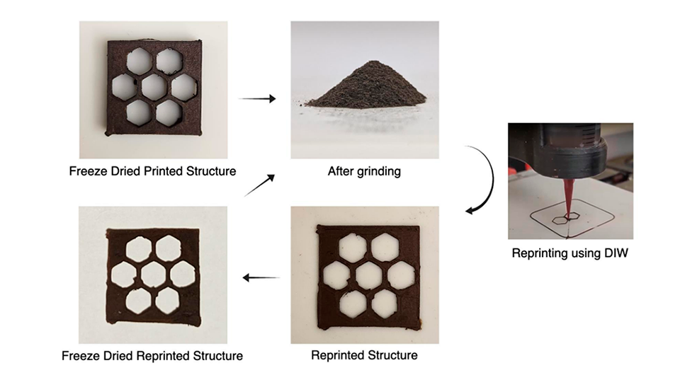   Md Shajedul Hoque Thakur et al. / Science Advances, 2024