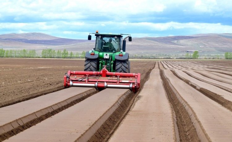    Площади под рапсом и льном в Бурятии увеличивают в этом году в 20 раз