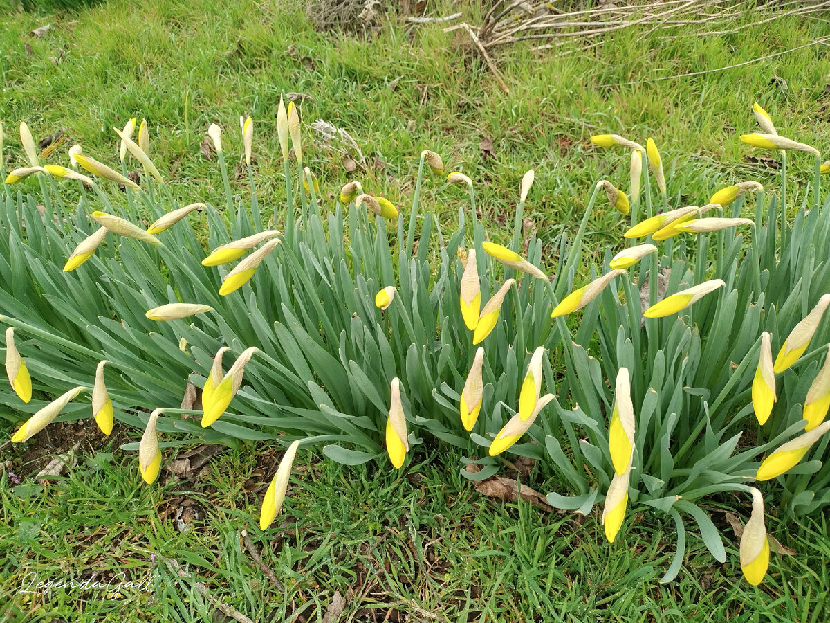 Ну чего им не хватает?