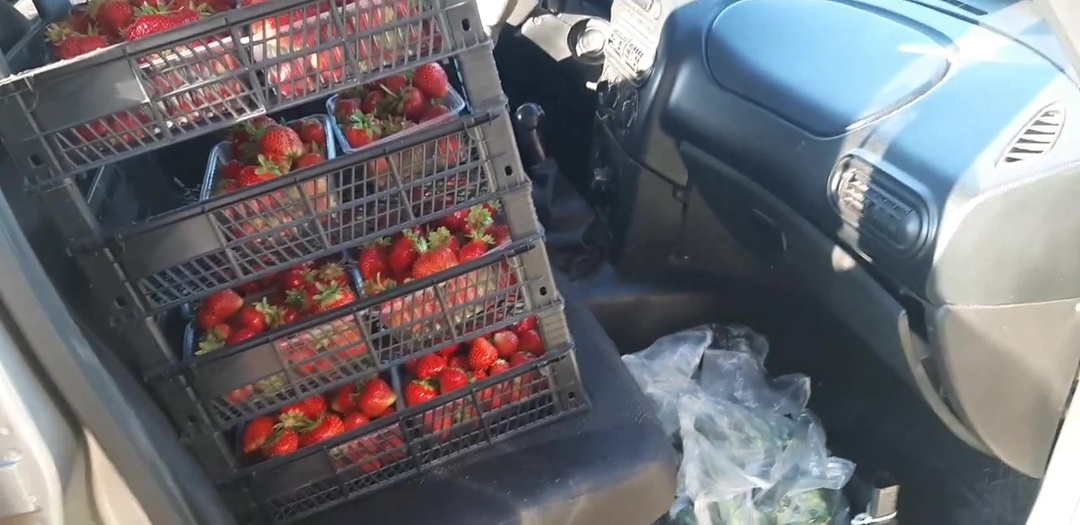 Клубничный нон стоп или как я не ожидала такого шикарного клубничного результата..