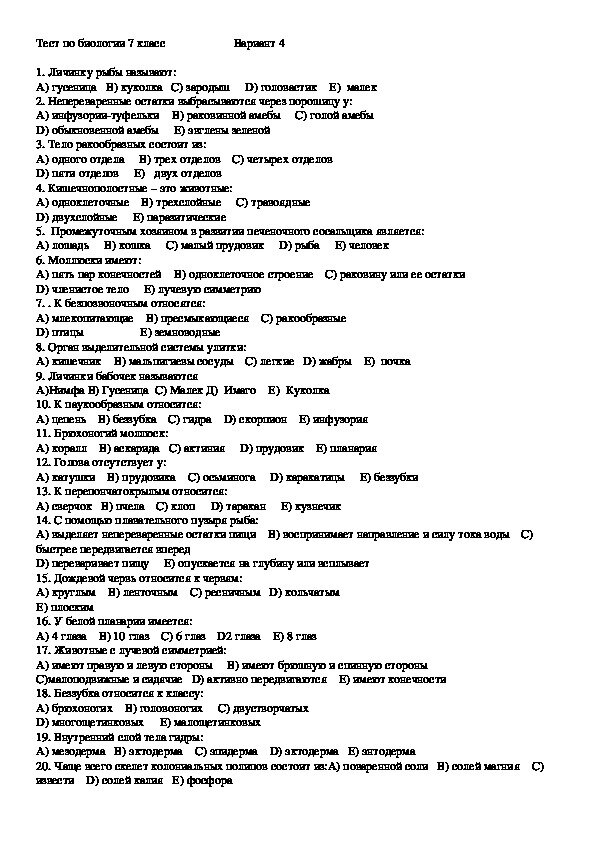 Тест по информации. Тест по информации