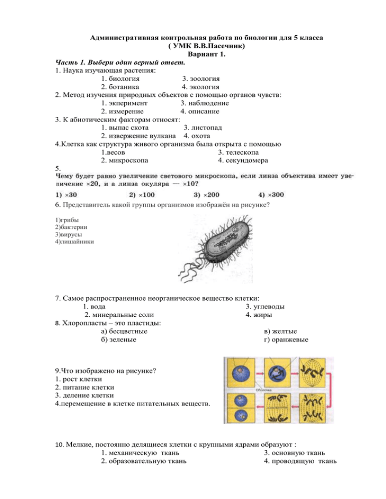 Строение кожи 8 класс биология. А. Контрольная работа по биологии 8 кожа. А. Рабочий лист кожа.