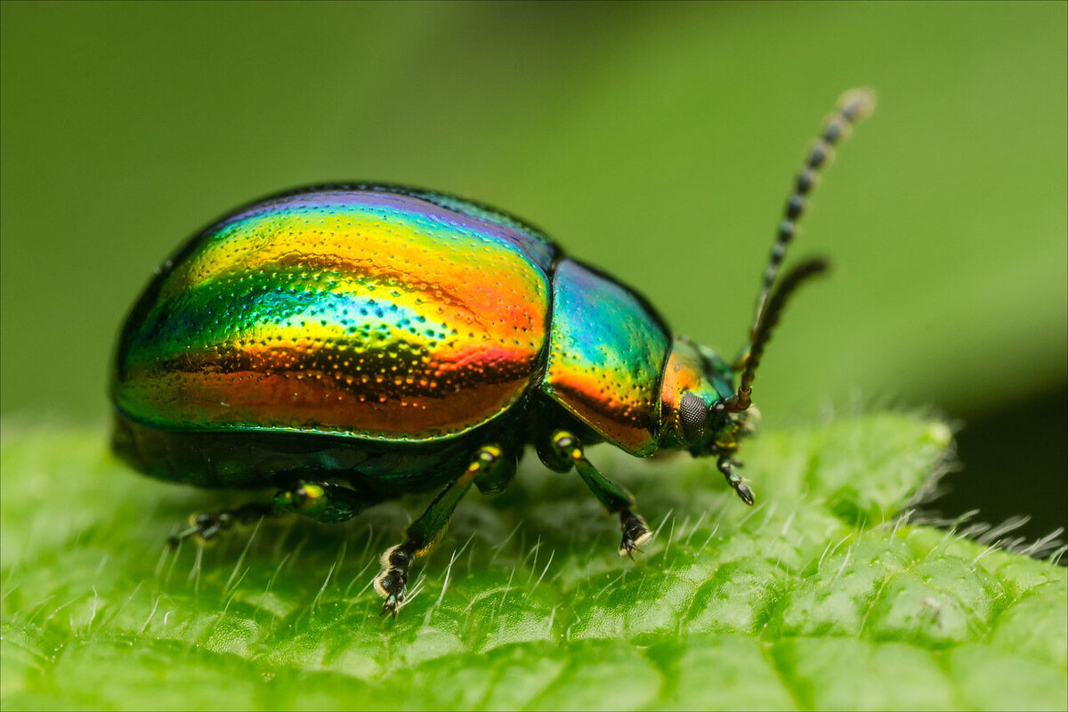 Источник - Яндекс.Картинки