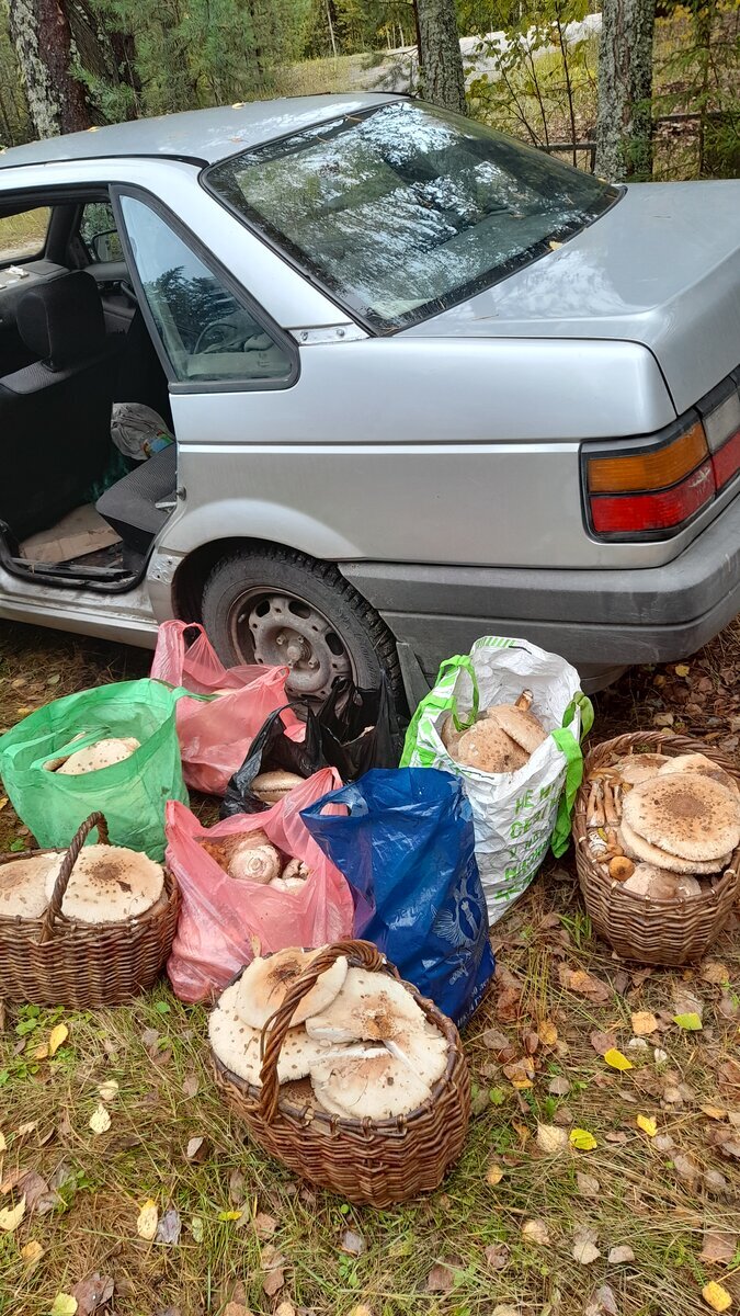 Автор фото andrey guschin 