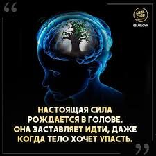 Быть морально сильным - это не только иметь силу воли, но и умение оставаться устойчивым в сложных ситуациях, придерживаться своих принципов и действовать в соответствии с ними. В мире, где каждый день мы сталкиваемся с различными вызовами и искушениями, моральная сила играет важную роль в нашей жизни. Вот семь практических советов, которые помогут вам стать более морально сильным человеком:

	1.	Определите свои ценности и принципы: Первый шаг к моральной силе - это понять, в чем вы верите и какие принципы для вас важны. Проведите время, задумавшись над своими ценностями и убедившись, что ваши действия соответствуют им.
	2.	Принимайте ответственность за свои решения: Морально сильные люди принимают ответственность за свои поступки и решения. Они не винят других за свои неудачи или ошибки, а стремятся извлечь уроки из любой ситуации.
	3.	Развивайте свою силу воли: Сила воли играет важную роль в моральной силе. Регулярно тренируйте свою силу воли, ставя перед собой небольшие цели и добиваясь их даже в трудные моменты.
	4.	Практикуйте эмпатию и сострадание: Будучи морально сильным, важно также быть эмпатичным и сострадательным к другим. Практикуйте слушание и понимание чужих чувств и переживаний, и старайтесь помогать тем, кто в нужде.
	5.	Не бойтесь выражать свое мнение: Морально сильные люди не боятся выступать за свои убеждения и выражать свое мнение, даже если оно не совпадает с мнением окружающих. Будьте честными и открытыми в своих обсуждениях, но также уважайте точки зрения других.
	6.	Извлекайте уроки из своих ошибок: Ошибки и неудачи - это неизбежная часть жизни. Вместо того чтобы впадать в отчаяние или самоуничижение, извлекайте уроки из своих ошибок и используйте их как возможность для личного роста и развития.
	7.	Поддерживайте здоровый образ жизни: Физическое и эмоциональное благополучие играют ключевую роль в моральной силе. Уделяйте внимание своему здоровью, включая правильное питание, регулярные физические упражнения и уход за своим эмоциональным состоянием.

Быть морально сильным - это постоянный процесс самосовершенствования и развития. Следуя этим советам, вы сможете укрепить свою моральную силу и стать более уверенным и этичным человеком в повседневной жизни.