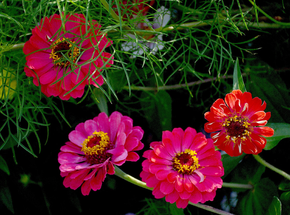 Ярче яркого! Все фотографии в статье мои