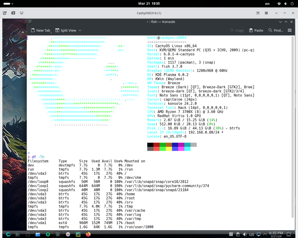 Runtime snapshot 2