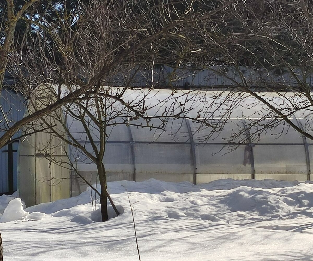 Теплица 22-ого марта.