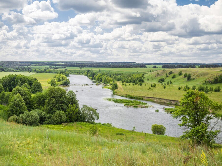     Фото: freepik.com