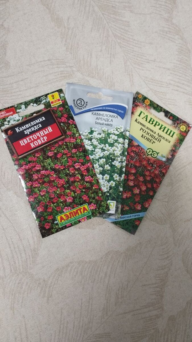 Семена, которые я купила для посева