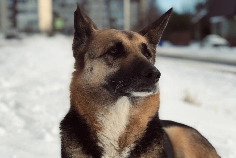    Аве было 11 лет. Фото: vk.com/id484092887