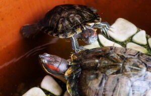    Фото: freepik.com/rawpixel-com Анна Полякова