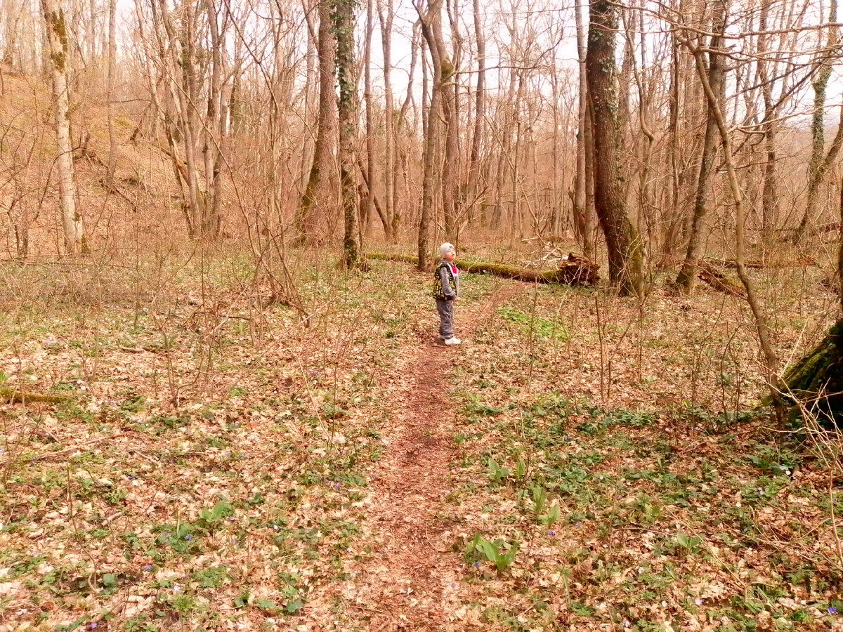 Тропинка через лек к скале офицеров