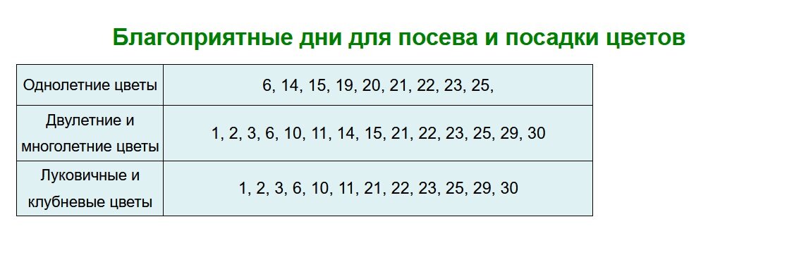 Благоприятные дни для посадки октябрь 24 год. Посадочные дни в феврале для перца