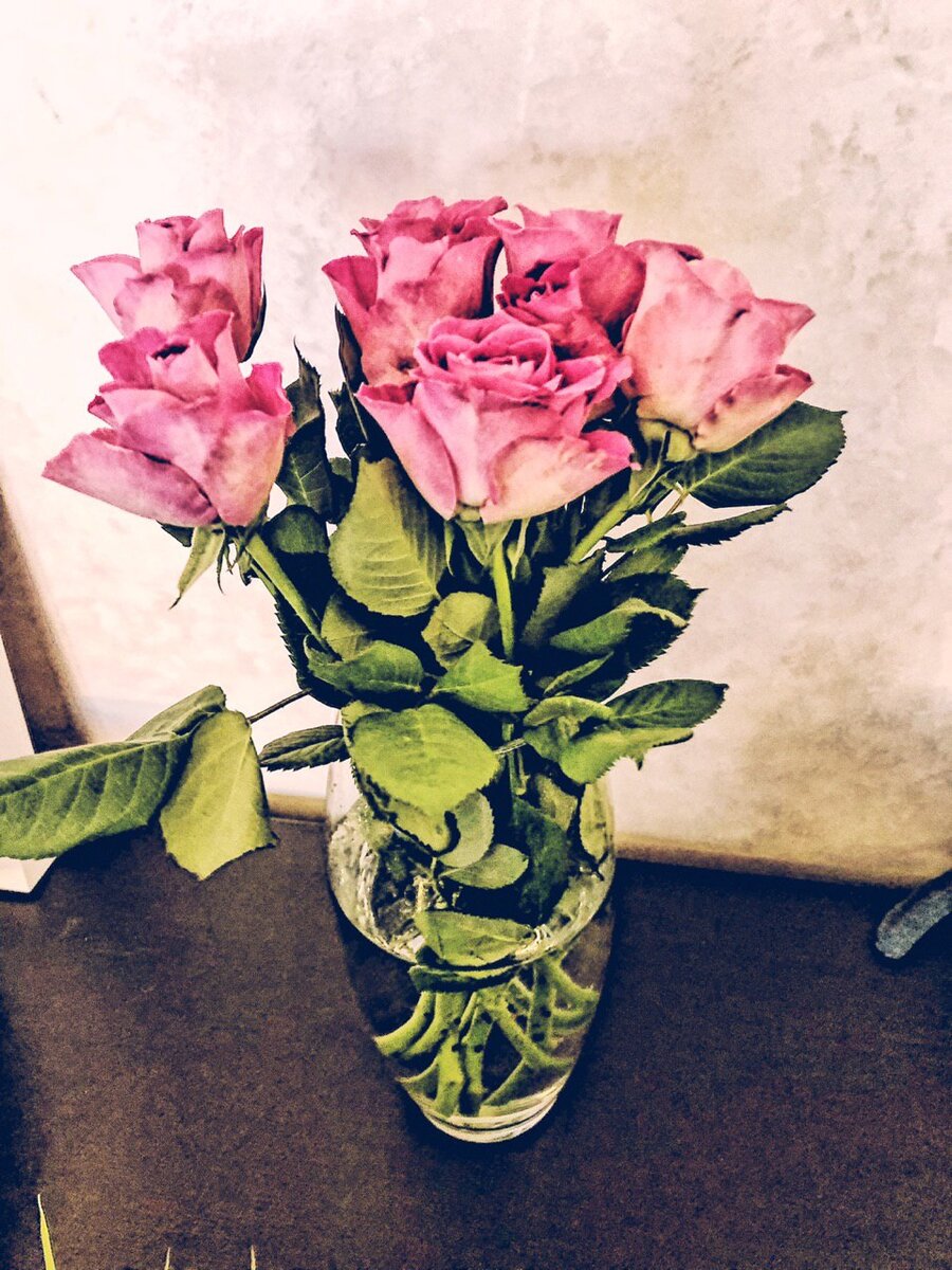 Нельзя считать неудачным свидание, с которого пришла без цветов. И также нельзя считать неудачным собеседование, с которого вернулся без оффера