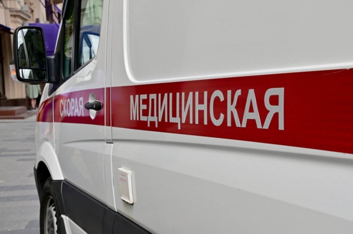    Москвичка пострадала, попытавшись снять с дерева страйкбольную гранату
