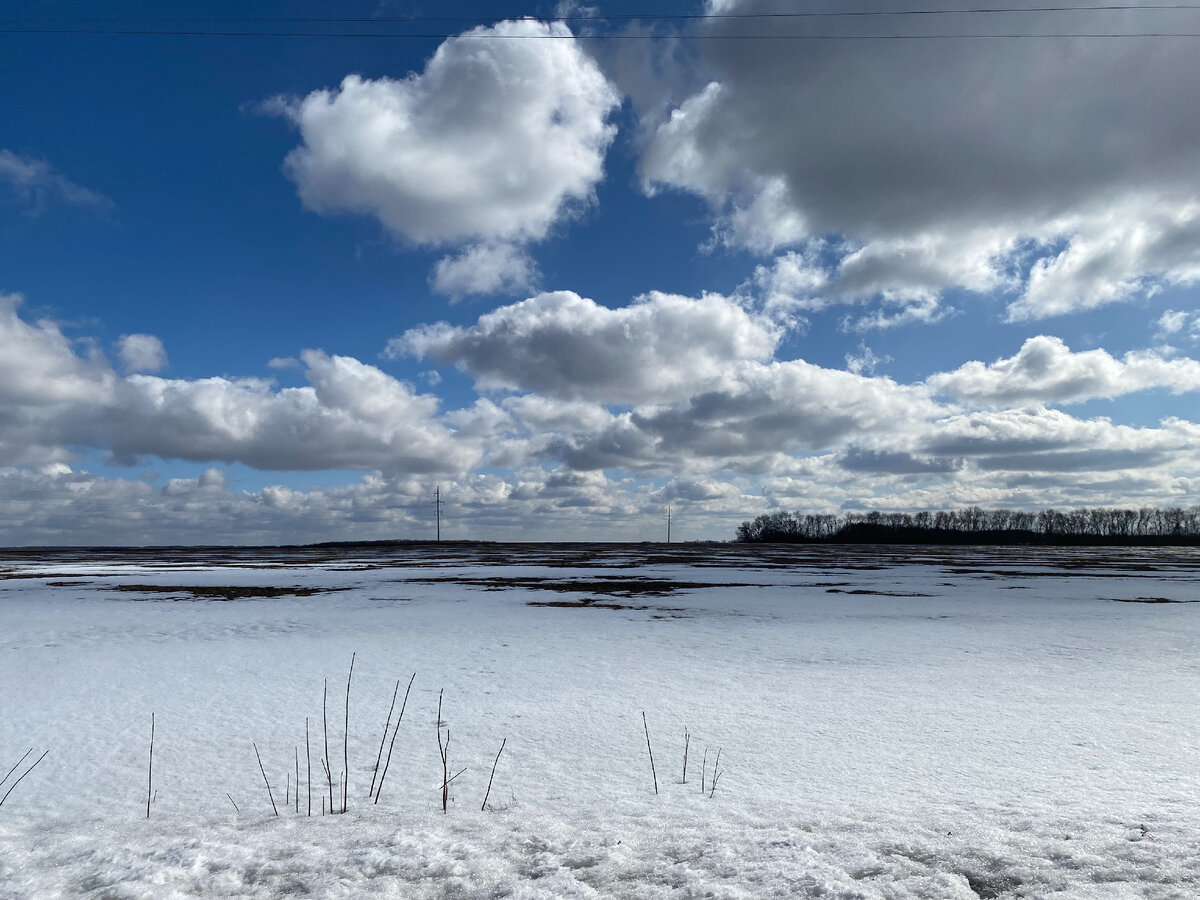 В деревне снег с полей ветром сдуло