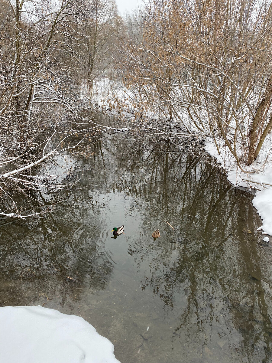 Это фото сделано в центре города