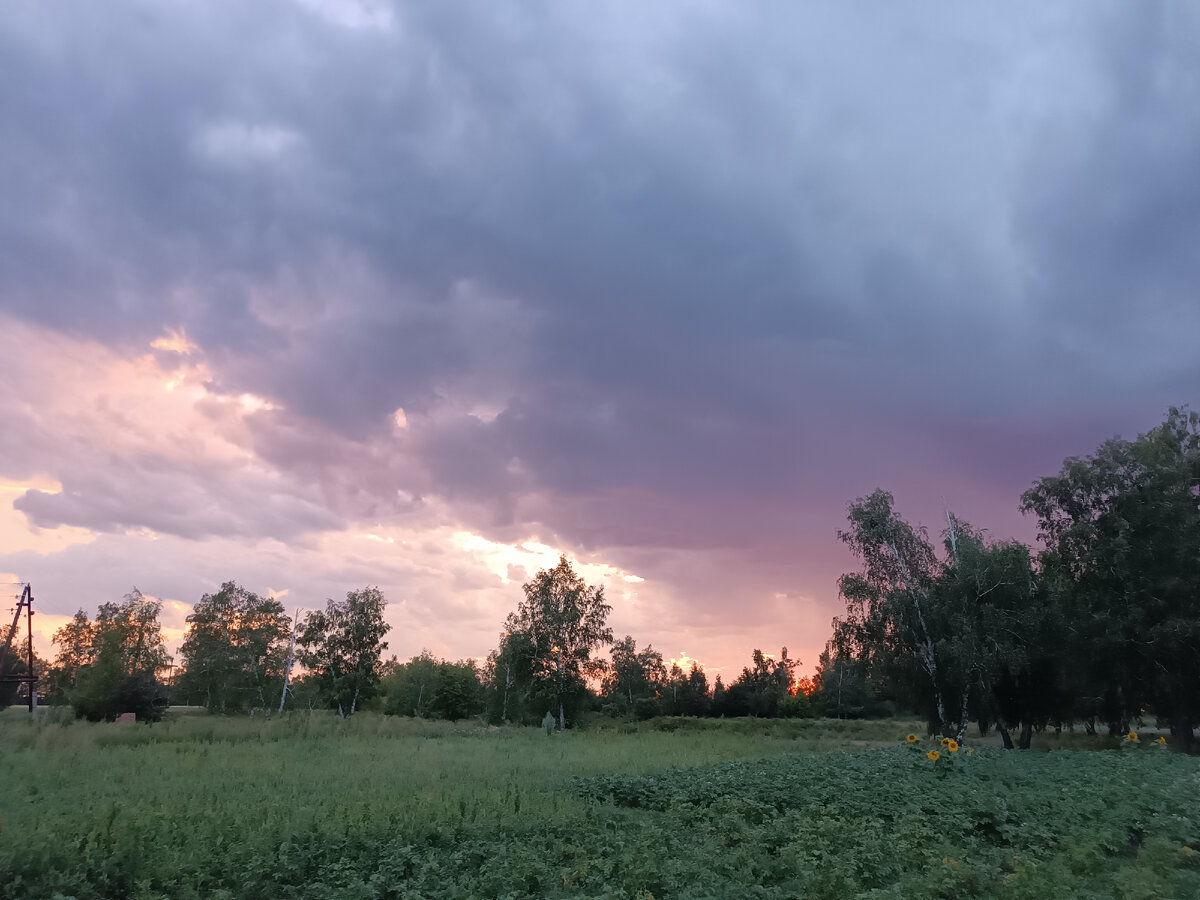 Красивая природа