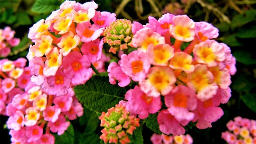 Листайте галерею для просмотра фото.