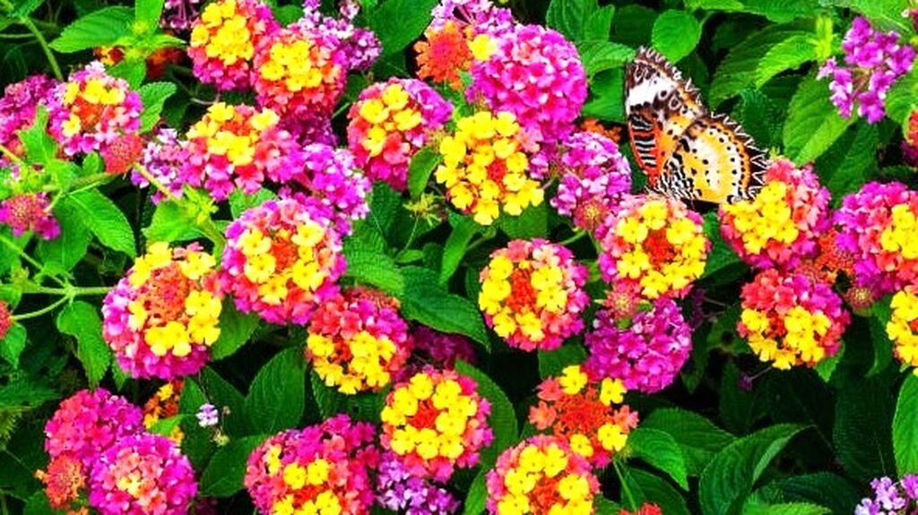 Листайте галерею для просмотра фото.